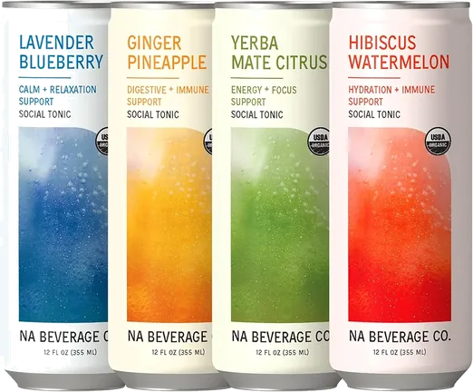 NA Beverage Social Tonic Variety Pack (12 pack)