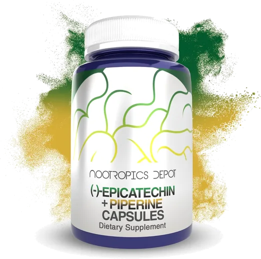 Nootropics Depot Epicatechin 200mg (90 capsules)